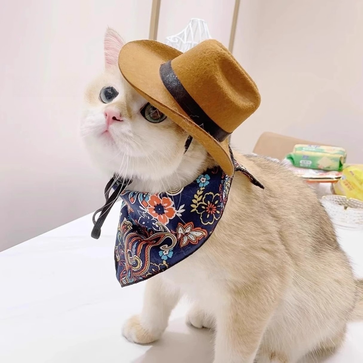  Cat Cowboy Hat Pet Head Acce - Cowboy Hat Straw 评论和价格