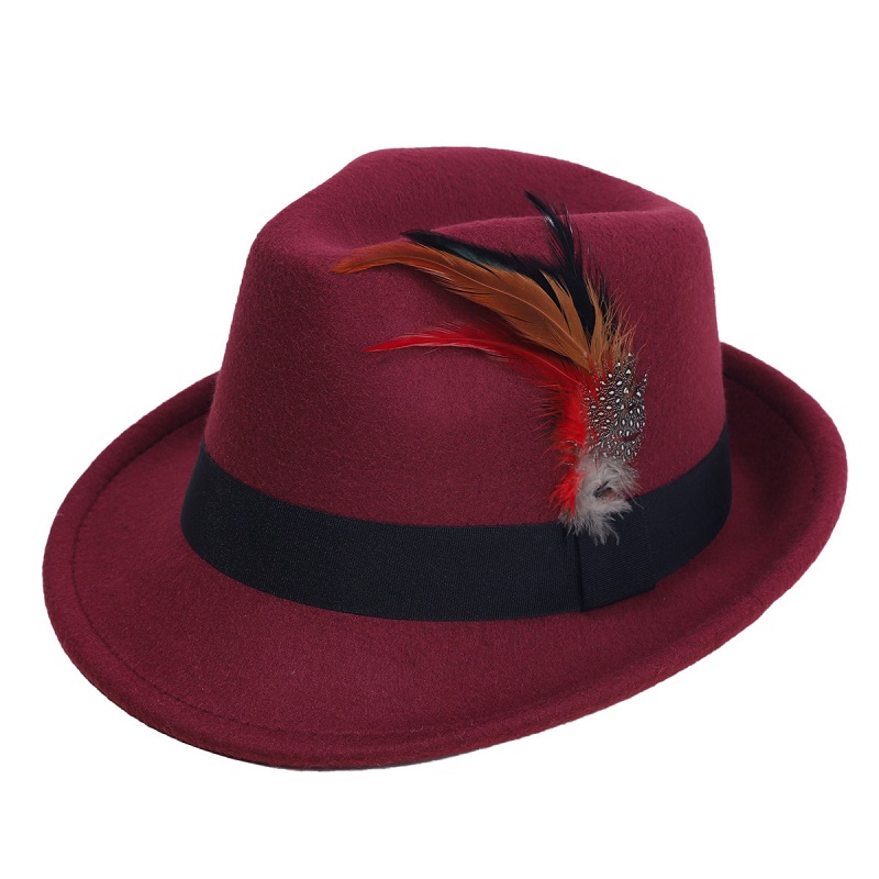 Hot-Selling Feather Top Hat Br - Fedora Hat Wool 评论和价格